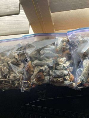 online Shrooms for sale