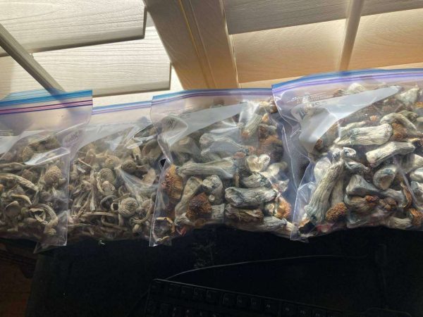 online Shrooms for sale